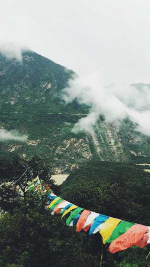 泛目录区别截图4