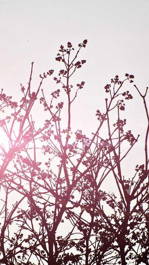 网站seo优化服务截图4