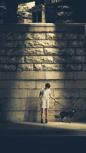 门户网站网站建设截图5