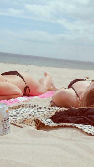 头条蜘蛛池价格优惠截图5