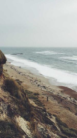 爱站的seo工具截图1