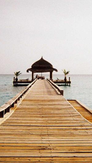 深圳网站设计建设截图4