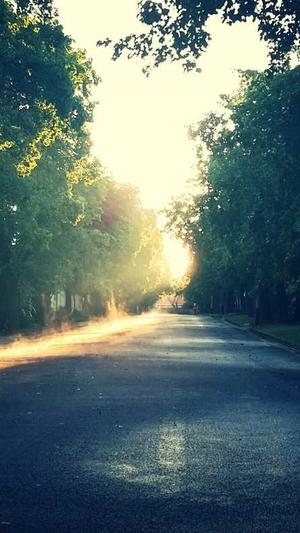 蜘蛛池租用平台找哪家截图5