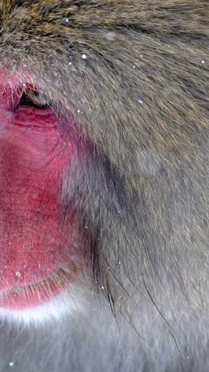 seo的优化工具有哪些截图2