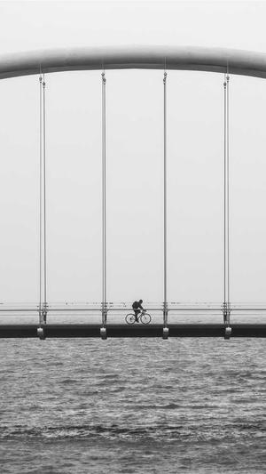 那个蜘蛛池好截图1