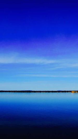 seo检测工具截图2