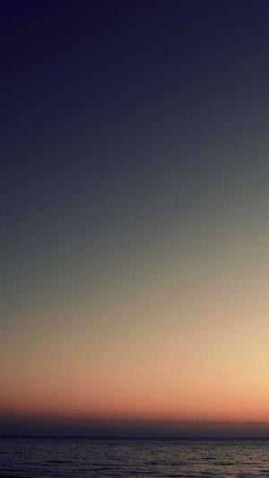 小旋风seo蜘蛛池怎么样截图3