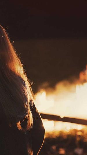 泛目录模式截图2