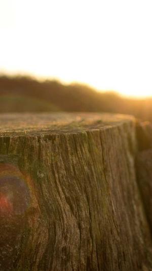 辽宁省建设厅网站截图1