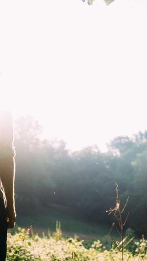 seo营销工具有哪些截图2