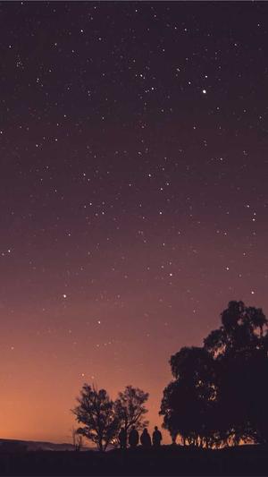 泛目录程序出售截图1