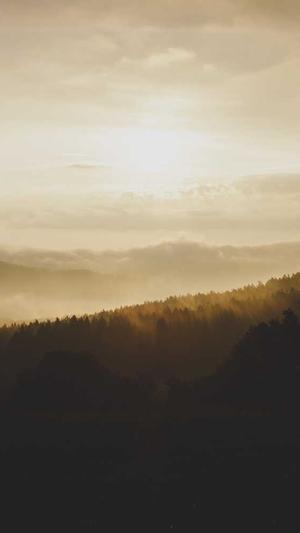 深圳英文seo截图2