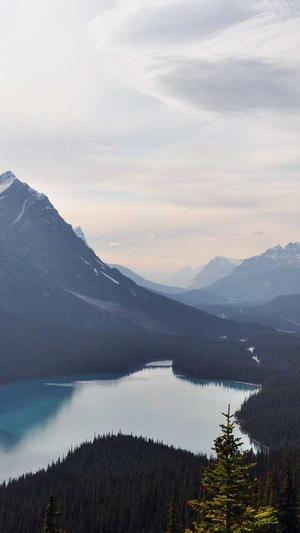 2021泛目录如何爆收录截图3