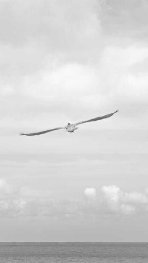 智能侠超级蜘蛛池程序截图1