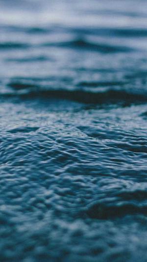 seo优化论坛截图5