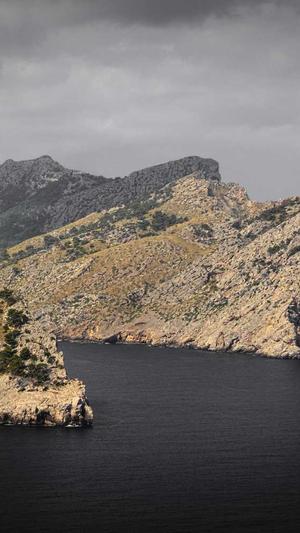 网络seo营销工具截图5