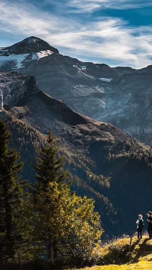 专业网站建设截图3