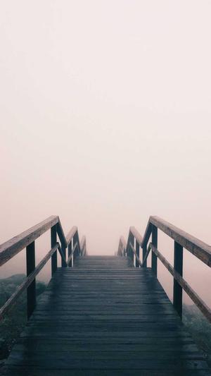 东营seo优化截图1