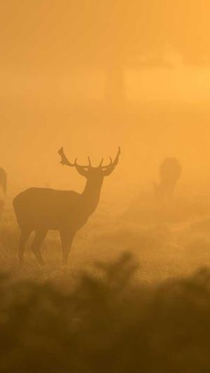 蜘蛛池租一个月多少钱截图2