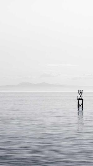 网站建设价格截图3