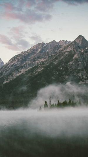 周口网站建设截图1