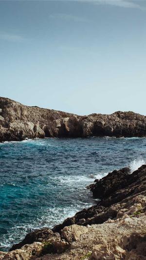 专业网站建设截图1