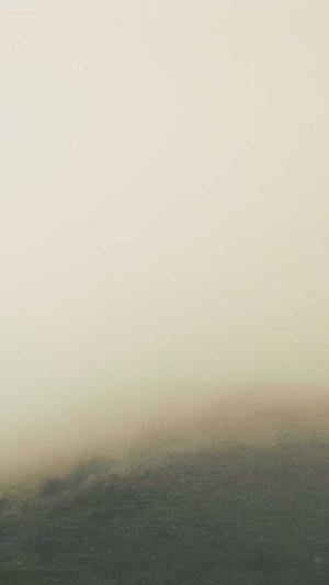 头条蜘蛛池选哪家截图2