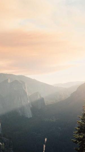 seo站长联盟截图3