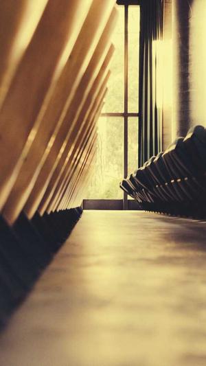 繁殖蜘蛛池出售截图4