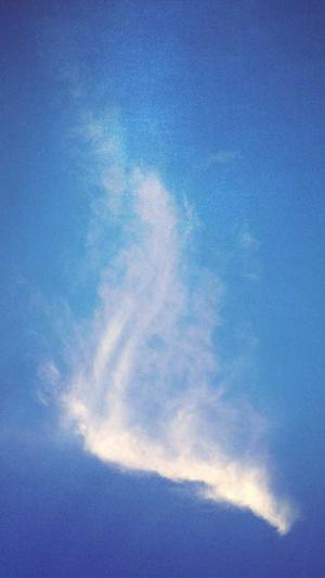 泛目录批量生成蜘蛛池截图4