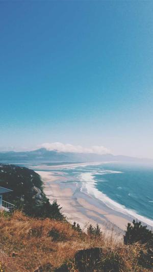 蜘蛛池出租代运营截图2