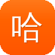 哈尔滨seo优化图标